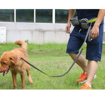 Hands Free Dog Leash - Rocky's Famous Treats