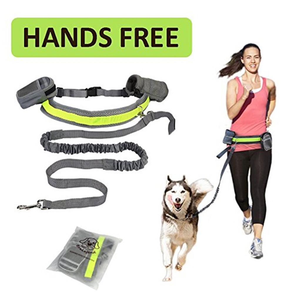 Hands Free Dog Leash - Rocky's Famous Treats