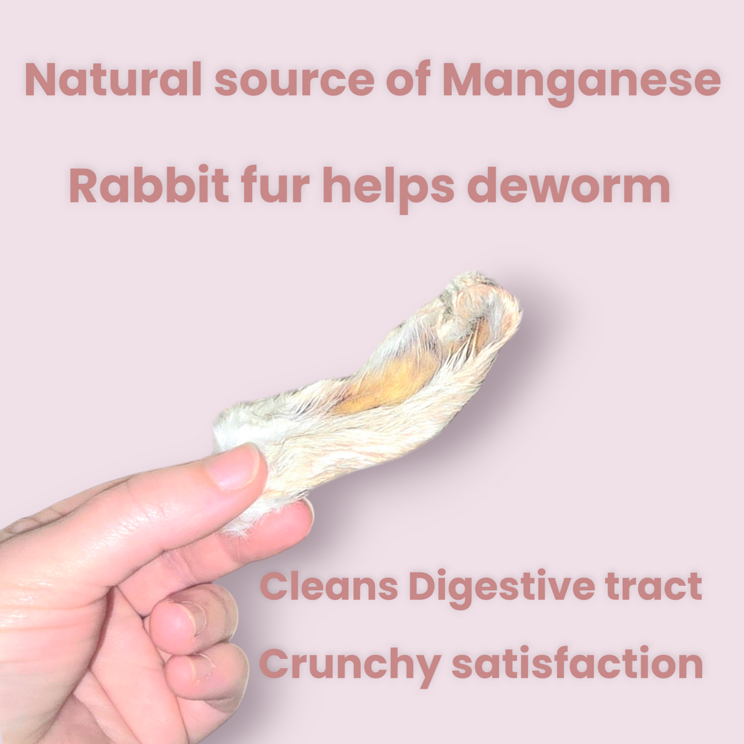 Rabbit Ears Dog Chews