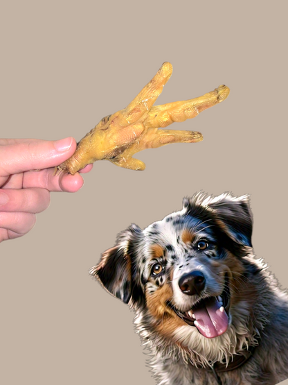 Natural Chicken Feet Dog Treats