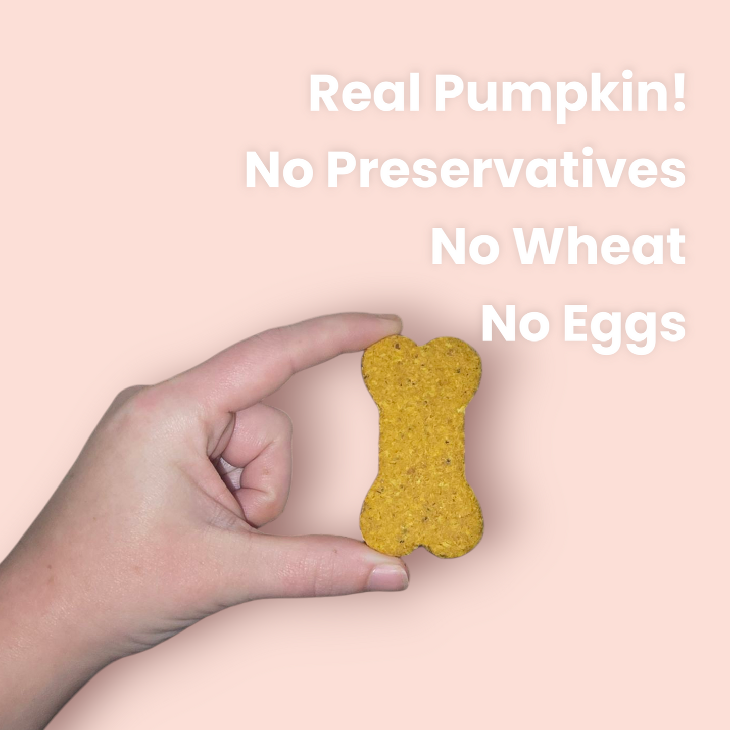 Pumpkin Dog Treats