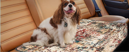 Leakproof Washable Potty Rug - Rocky's Famous Treats