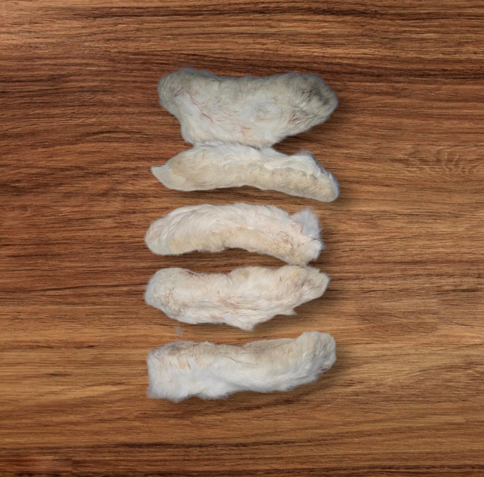 dehydrated raw rabbit foot dog treats. rabbit feet have fur on them to benefit dog's digestion. single ingredient dog treats